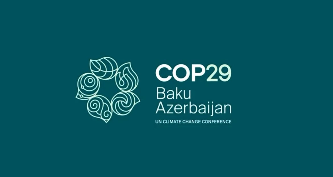 COP29 Beklentileri